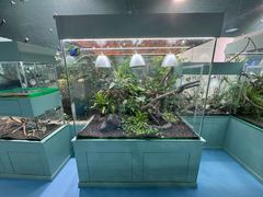 -上海大自然野生昆虫馆(东方明珠·爬宠昆虫探索中心)