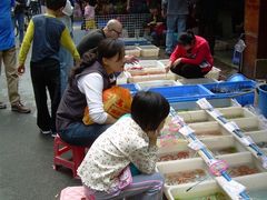 -清平路水族市场