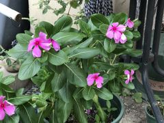 -臻鲜燕海鲜融合餐厅(金陵style店)