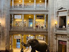 -美国自然历史博物馆