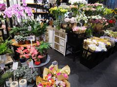 -豆豆花艺(新光天地店)