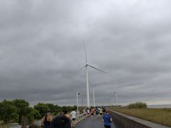 -上海海湾国家森林公园