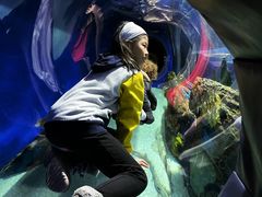 -瑞普利水族馆