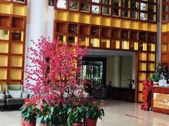 -张家港金凤凰度假村温泉