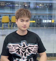 -YESIDO椰岛造型