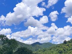 -野象谷景区