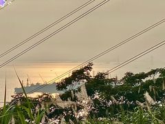 -小南山公园