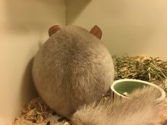 -龙猫仔乐园(惠福东路店)