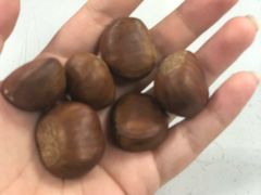 -阿男野栗王(金门路店)