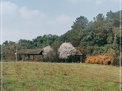 -保利石象湖景区