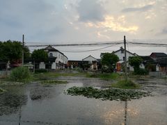 -喜洋洋蟹庄(阳澄湖店)