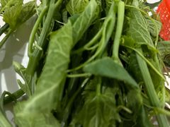 -朝伟清真铜瓢牛肉馆(三十年老·店)