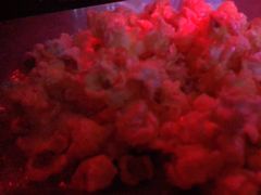 -AGOGO HOUSE KTV(东街店)