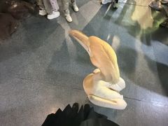 -海合安武汉极地海洋公园