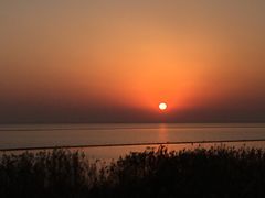 -合肥滨湖国家森林公园