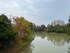 -上海海湾国家森林公园