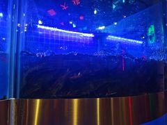 -蛙一刀·麻椒鱼火锅(金仙桥店)