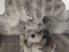 -莲池书院博物馆