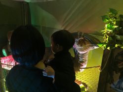 -恐龙探索乐园(磁器口店)