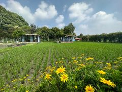 -洪湖家庭农场·团建·露营·会议