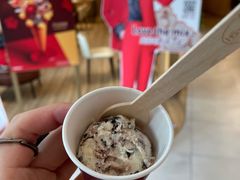经典牛乳单数-哈根达斯(国瑞店)