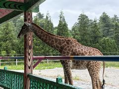 -贵州森林野生动物园