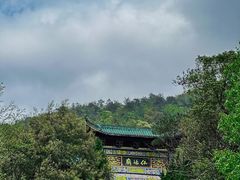 -姑婆山旅游区