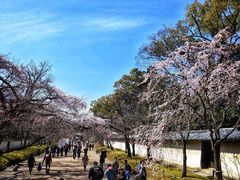 -醍醐寺