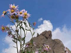 -白草畔自然风景区