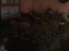 -膳和缘炒鸡店(南门路店)