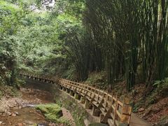 -凤栖山