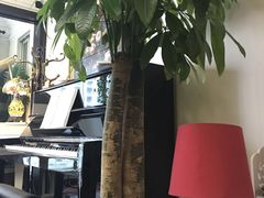 -圣典成人钢琴俱乐部(国贸旗舰校区)
