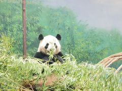 -杭州动物园