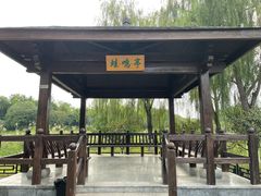 -大兴滨河森林公园