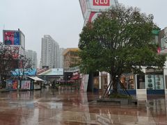 -证大大拇指广场(芳甸路店)