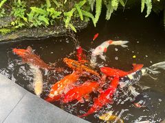 -香云轩·顺德菜(香云纱园林酒店店)