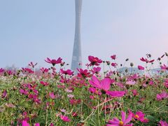 -海心沙亚运公园