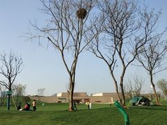 -盘龙城国家考古遗址公园