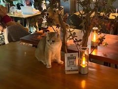 -咖法森林·咖啡  酒吧(天河店)