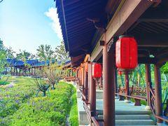 -江心屿景区