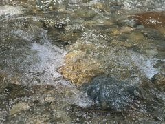 -虹口漂流