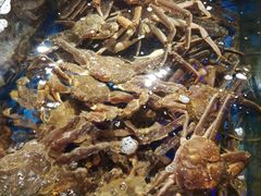 -蟹之国·精品蟹料理(极地店)