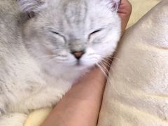 -Pets First伊珊娜洗护·精致美容·家庭式寄养(新会路店)