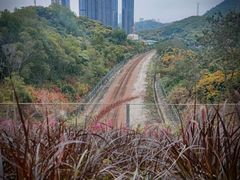 -荔枝公园(福田区)