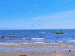 -老虎石海上公园