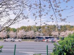 -湖锦酒楼·32年地道湖北菜(光谷店)