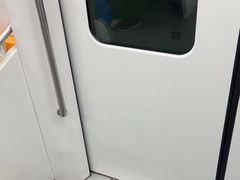-东方体育中心(地铁站)