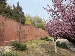 -元大都城垣遗址公园