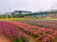 -盈香心动乐园