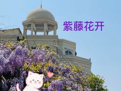 -双拥公园